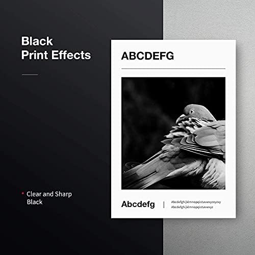 Black Print Effects Showcasing HP 79A Toner Quality: Crisp and clear black printing effects achievable with HP 79A toner cartridges.